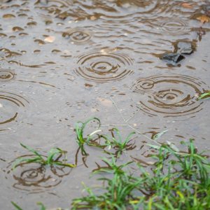 梅雨末期は集中豪雨に警戒！過去には空梅雨から大雨になったことも。知っておきたい「湿舌」とは？