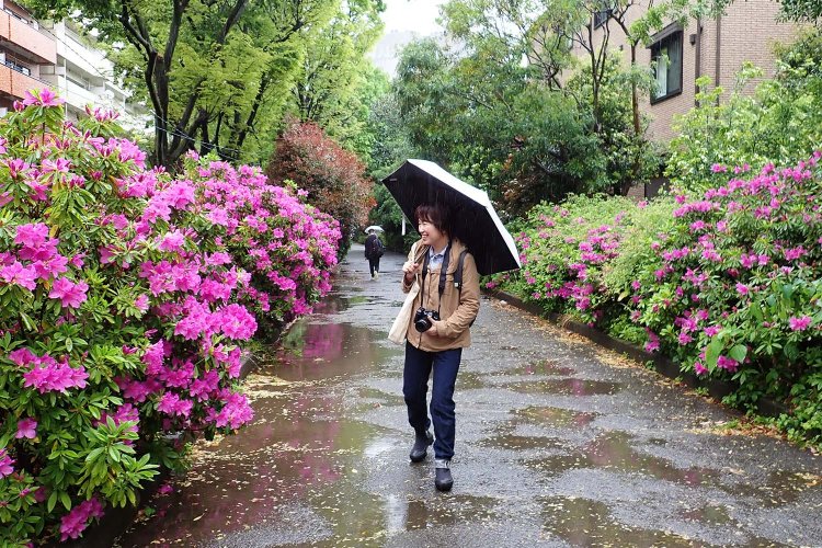 初台駅のすぐ近くに、玉川上水が暗渠（あんきょ）化された緑道が続いていた。いい散歩道！