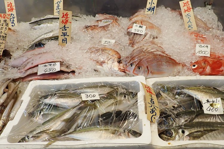 鮮魚店の魚もフレッシュ！