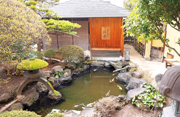 露天風呂の湯小屋の前にある池に、色鮮やかな錦鯉が泳ぐ。