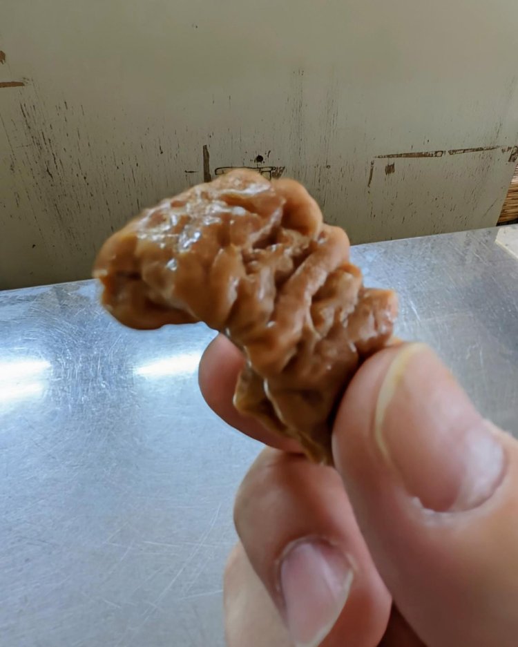 はじめて食べたまぐろのホルモンは、クセがなく柔らかくておいしい。