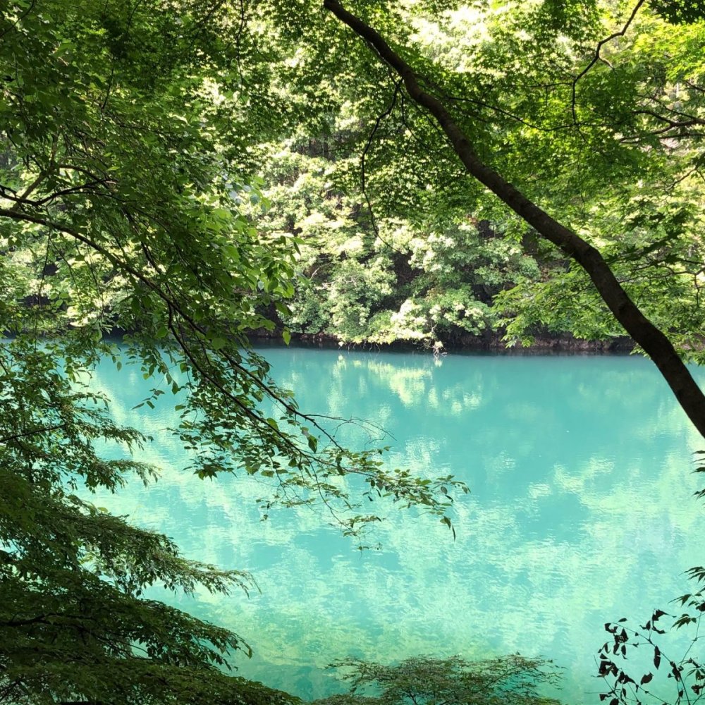 さんたつ読者&編集部おすすめの「夏に歩きたい水辺」11選。梅雨が明けたら行ってみよう！