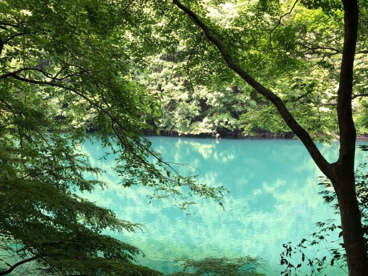 さんたつ読者&編集部おすすめの「夏に歩きたい水辺」11選。梅雨が明けたら行ってみよう！