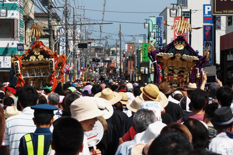 江ノ電の路面電車区間である腰越の商店街では2基の神輿が横に並んで渡御する。