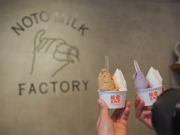 【camell】今行ける能登_25