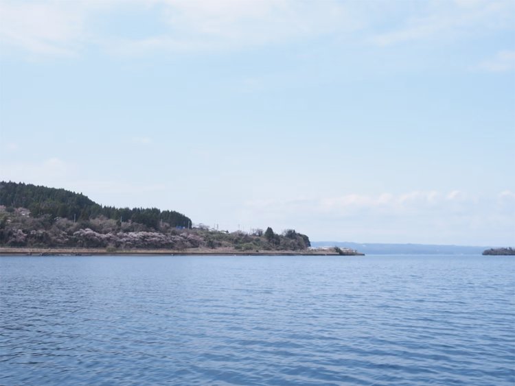 【camell】今行ける能登_31