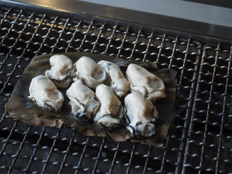 【camell】今行ける能登_36