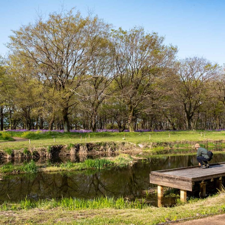 園内のショウビン沼畔には木製デッキが設置されている。