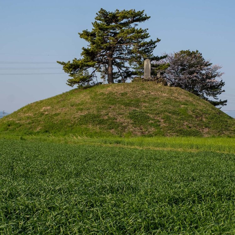 麦畑に囲まれた軍配山古墳。古墳時代中期の前方後円墳・梨ノ木山古墳もほど近い。