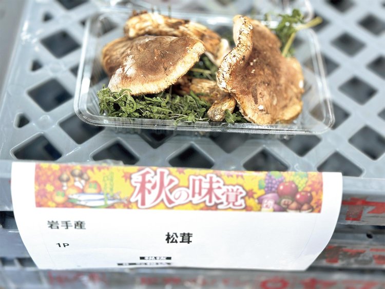 形が悪く出荷できない松茸は、店先でパック販売。味は最高級品！