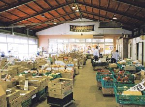 【旅の手帖】八百津松茸市場「後藤食品」_1