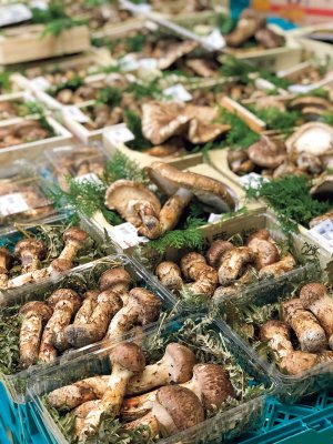 【旅の手帖】八百津松茸市場「後藤食品」_2