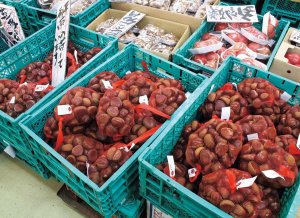 【旅の手帖】八百津松茸市場「後藤食品」_5