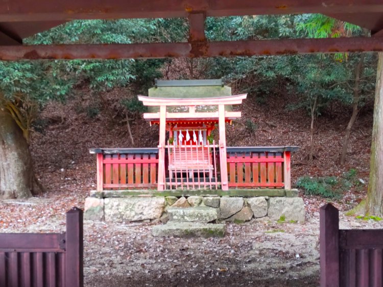第六拝所 須屋浦（すやのうら）神社。周辺は照葉樹に囲まれている。浜辺の砂州には、ハマゴウなどの塩性植物も生育する。