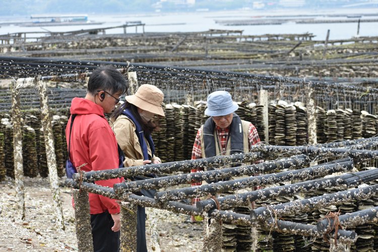 ずらりと並ぶカキ棚は、カキ養殖が盛んな宮島ならではの景色。宮島のカキは世界遺産「弥山原始林」の恵みを受けて育っている。