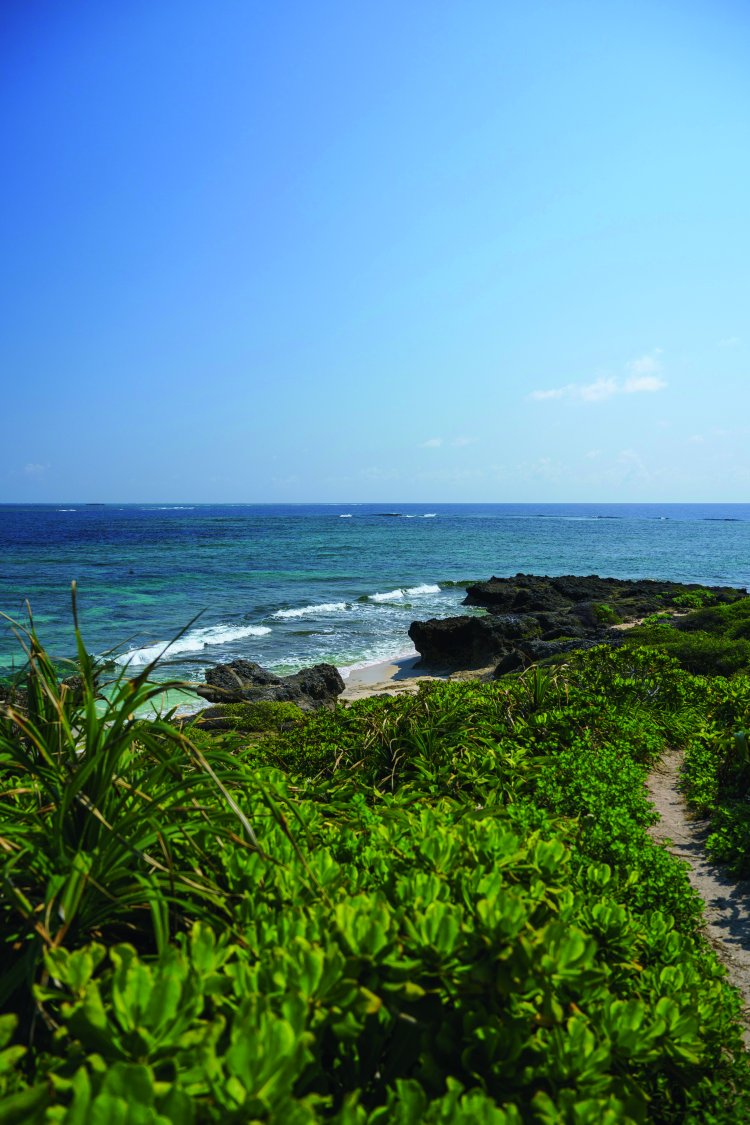 「ハビャーン（カベール岬）」の付近を含めた島の海岸線の7割の植物群落は国指定天然記念物だ。