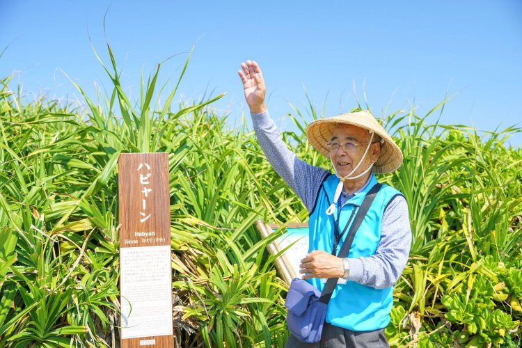 「ふとした場所に、ストーリーが秘められています」と、マサーさんは話す。