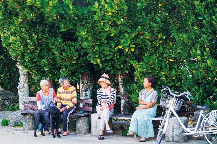 レンタサイクルの貸し出し（有料）があるので、自転車で島内をめぐるのもおすすめ。