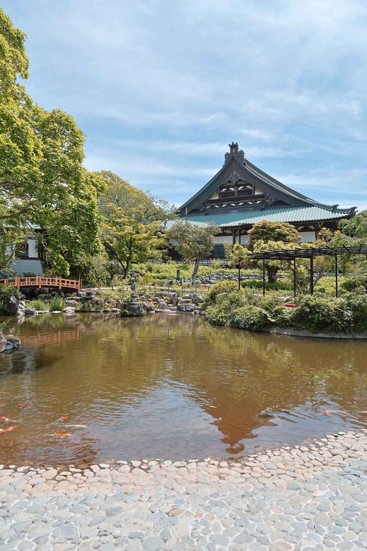 そぞろ歩きが楽しい、緑と歴史に包まれた遊行寺へ。