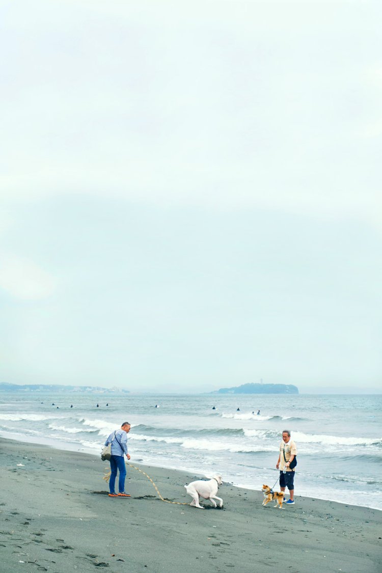 【散歩の達人】海を目指して_10