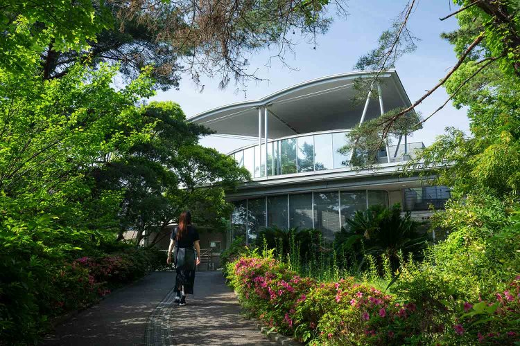 【散歩の達人】茅ケ崎_15