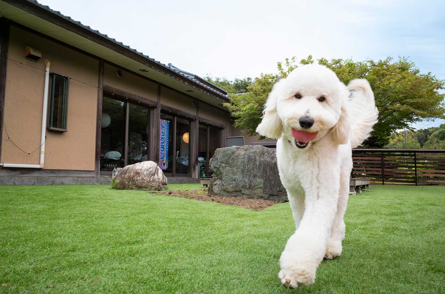 【散歩の達人】BUS-STOP_1