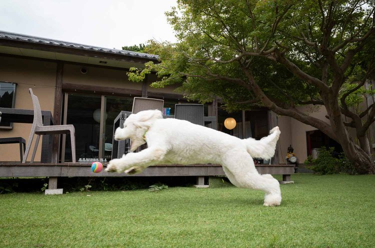 【散歩の達人】BUS-STOP_5