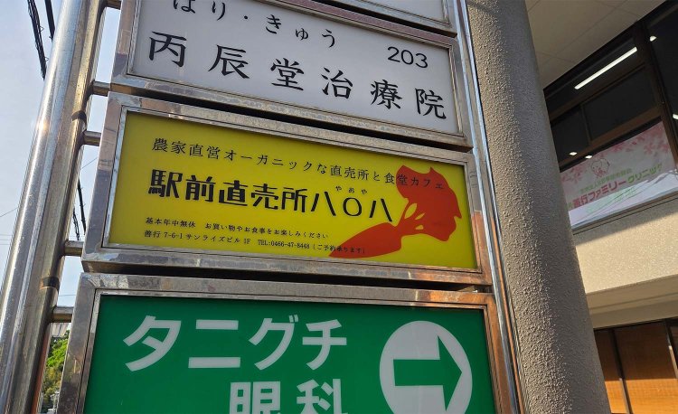 【散歩の達人】湘南8の謎_5