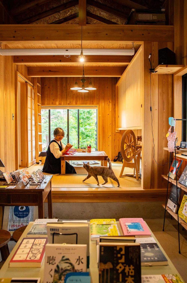 「猫の名前は『こはだ』。うちの仔よ」。