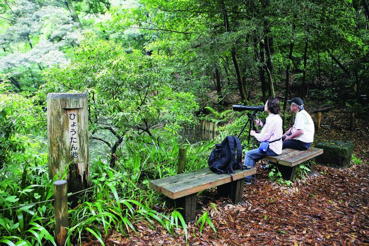 国立科学博物館附属自然教育園（こくりつかがくはくぶつかんふぞくしぜんきょういくえん）