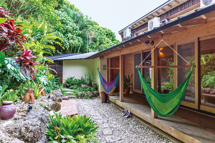 中庭には南国植物がいっぱい。