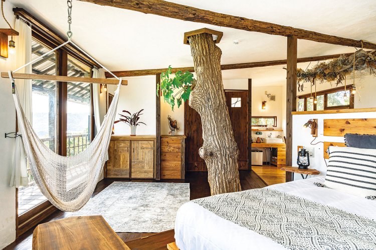 やんばるの木に抱かれて“泊・食・癒”を楽しめる空間。