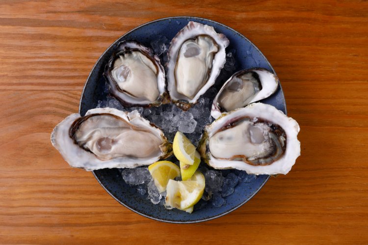北海道、兵庫、島根など産地別の生牡蠣5種盛り。1粒からオーダー可能で500円～。