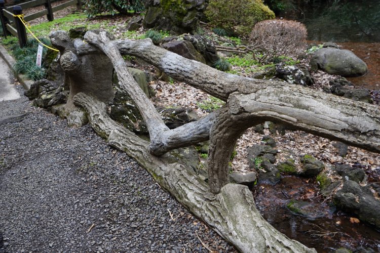 新宿御苑内にある、現存する日本最古の擬木。ゴツゴツした幹の表情がリアル。