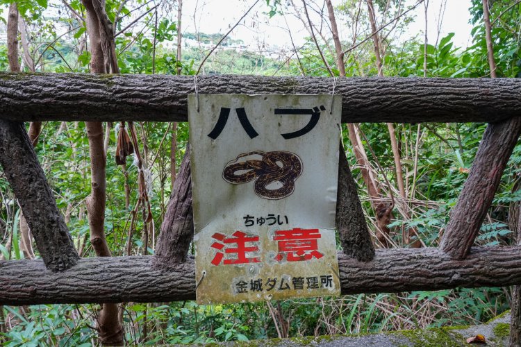 沖縄の擬木に備え付けられた、ハブ注意看板。擬木上のメッセージにも地域性あり。