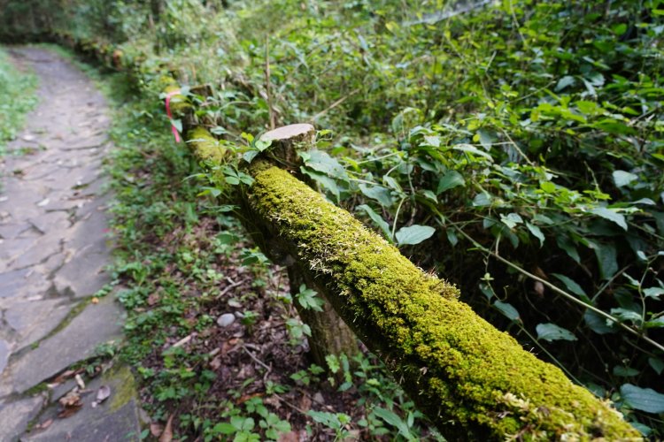 表面が苔むし、半分自然に還りつつある擬木。