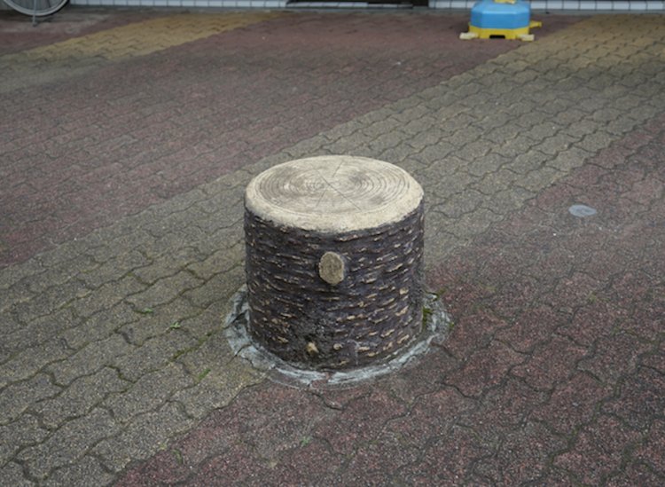 桜を模した擬木のベンチ。樹皮や年輪、木口割れなど、細やかな手仕事が詰まる。