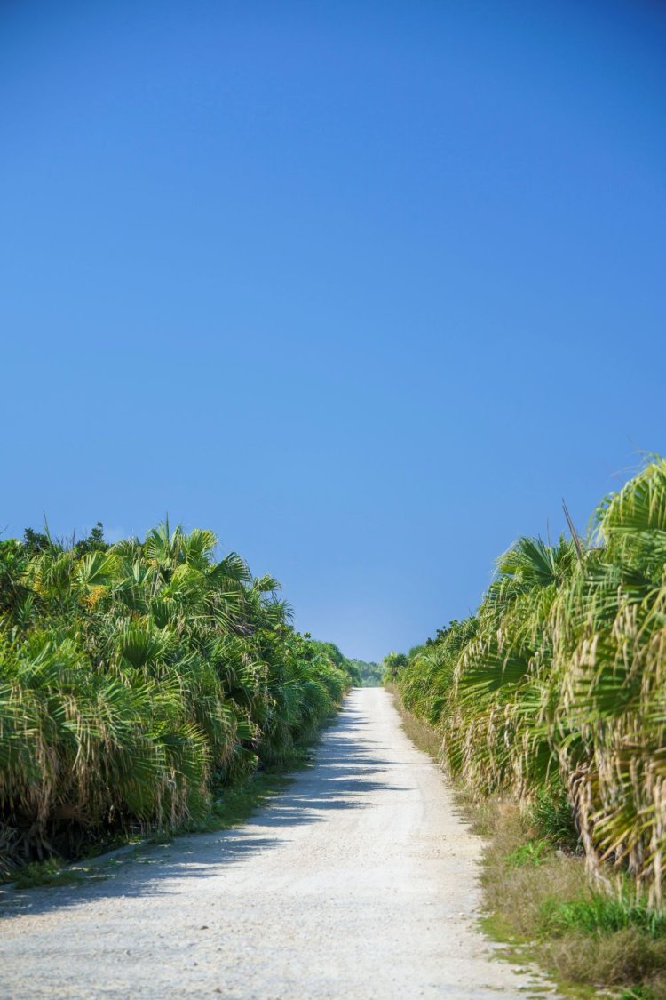 島を守るため、自然物は外へ持ち出してはいけない、メーギ浜以外は遊泳禁止など、島のルールを守りながらお邪魔しよう。