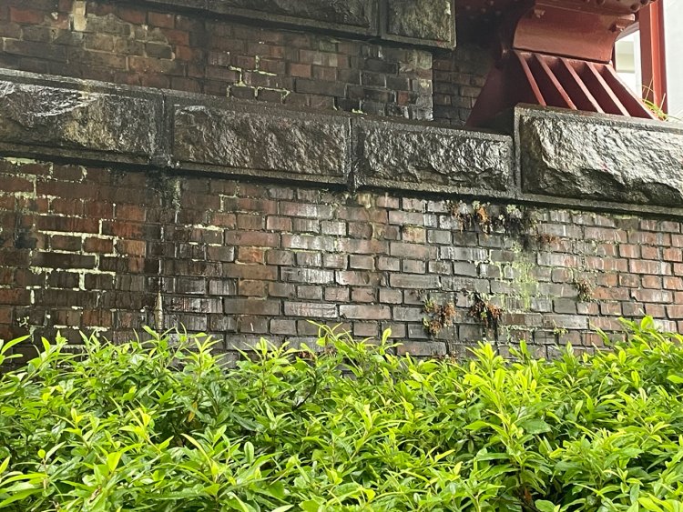 橋脚は煉瓦造り。イギリス積み。