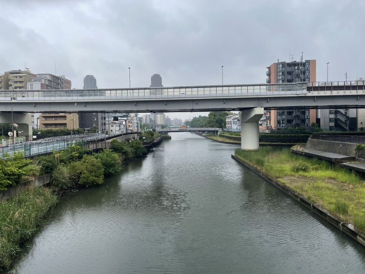 旅所橋から横十間川の南方向を見る。