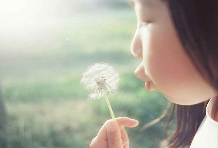 【camell】フィルムカメラ入門ガイド2025_9