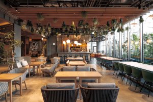 ヤエスパブリック2