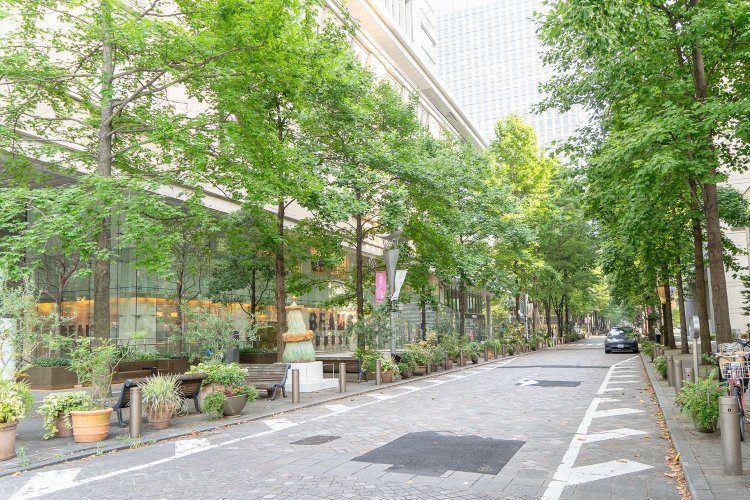 緑が多く、ベンチもたくさん置かれている丸の内仲通り。
