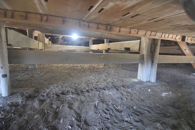 本堂の床下に残されている相良城の建材。本堂の脇に回れば見ることができる。