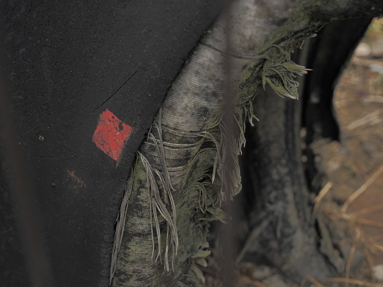 ビート部に残る赤い印。タイヤを埋めた後に印を付けたとは考えにくいので、この印は当時のものだと思われる。