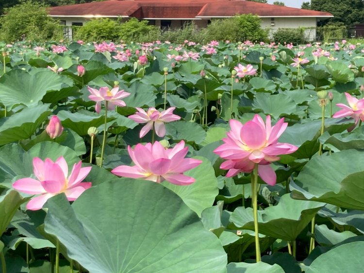 08c3a3e55dcd55de6d7f5e4896fb5e58203db3069152c27c1fe3bed2e324df195f646d4f