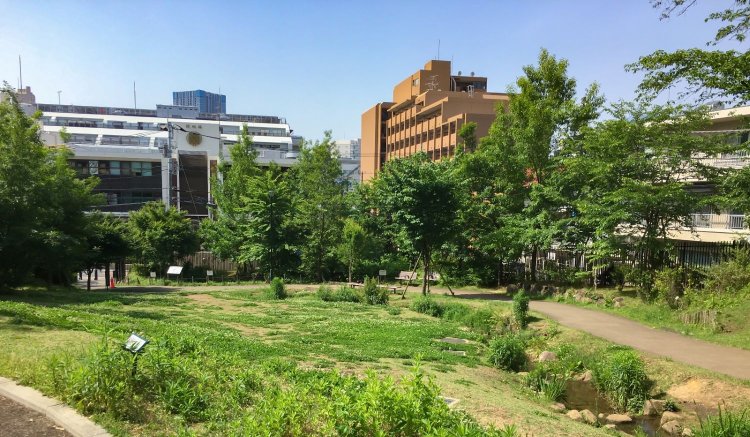 5ed7d1f8f8724a7cbfa73c0b436d99ef9abc6bc5aa09d5dbad2a4dcf049cb9ff733bfd1a