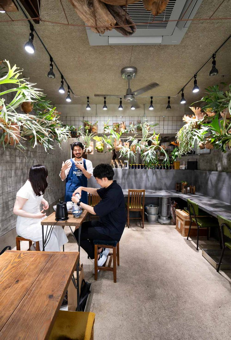 【散歩の達人】貯水葉_3