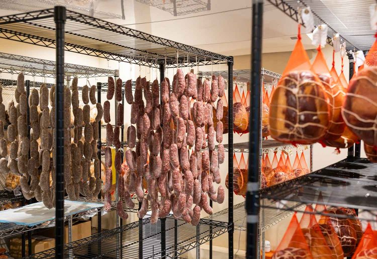 【散歩の達人】Otis_4