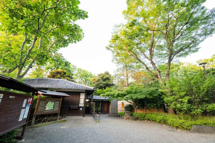 緑いっぱい向島百花園。